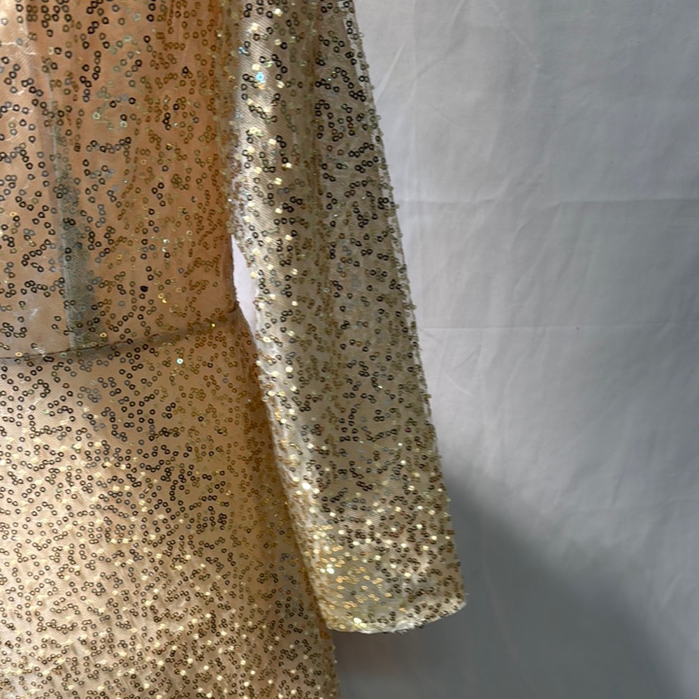 Elegant Gold Sequin Evening Gown - Picture 9 of 16